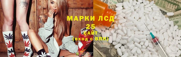 гидра Дмитровск