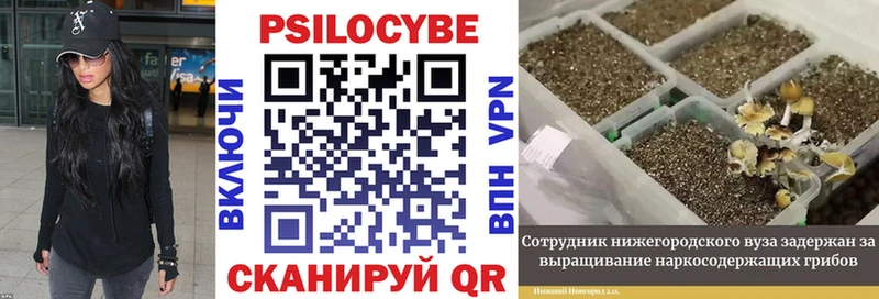 Галлюциногенные грибы MAGIC MUSHROOMS  где продают   ссылка на мегу ссылки  Пустошка 