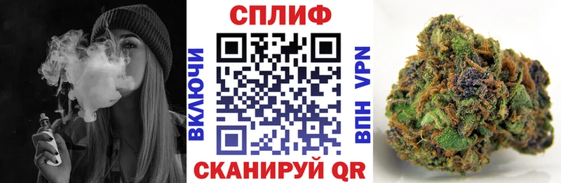 Шишки марихуана Amnesia  MEGA ссылки  Пустошка 